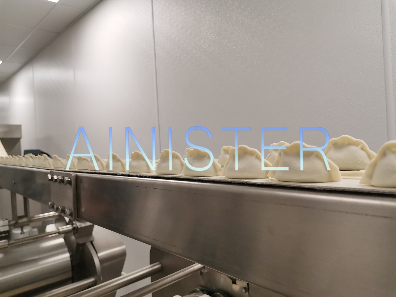 dumpling making machine